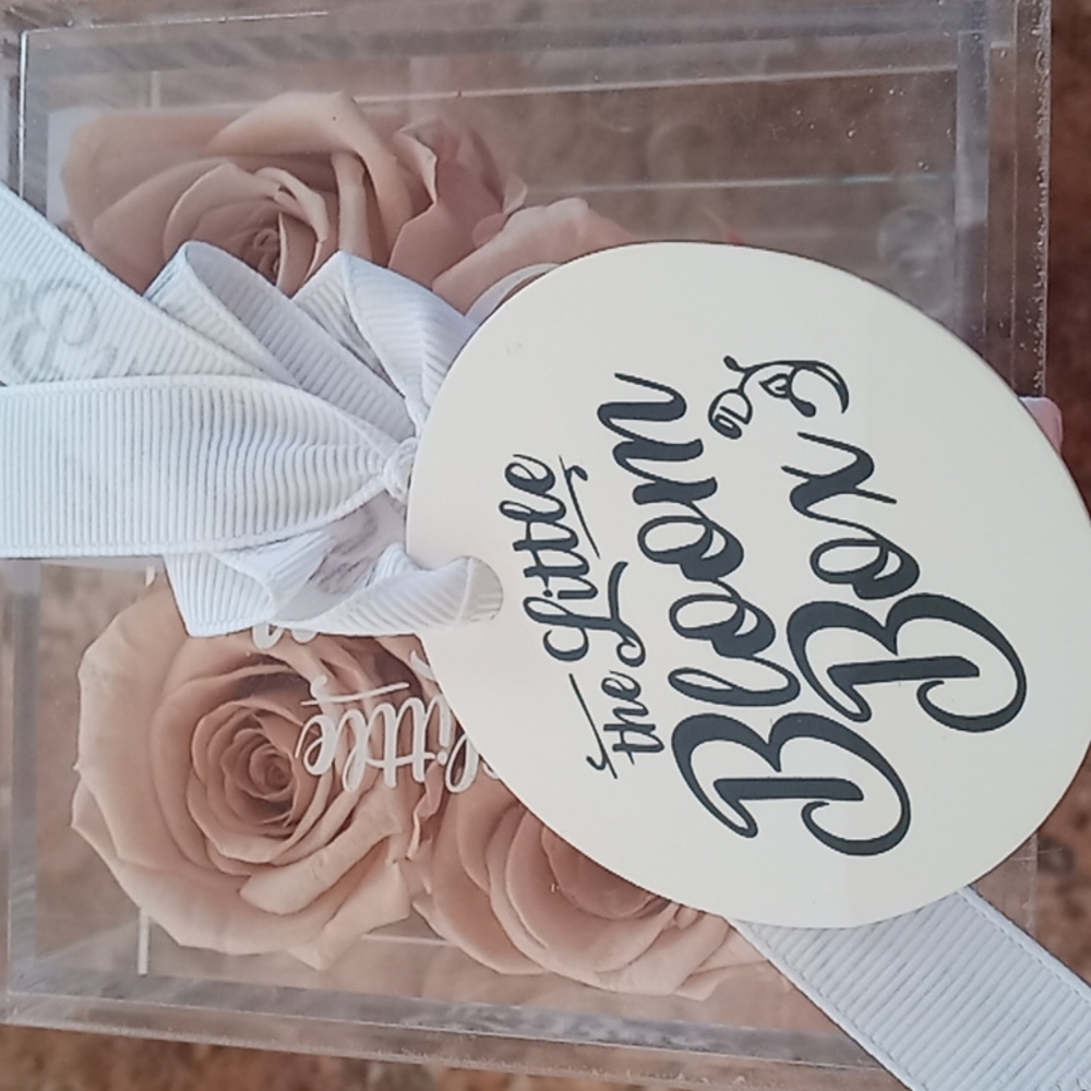 The Little Bloom Box 4 Rose Tall Crystal Acrylic Box-Dusty Pink